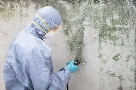 Why You Should Choose Our Mold Remediation Services in Carrollton, MO